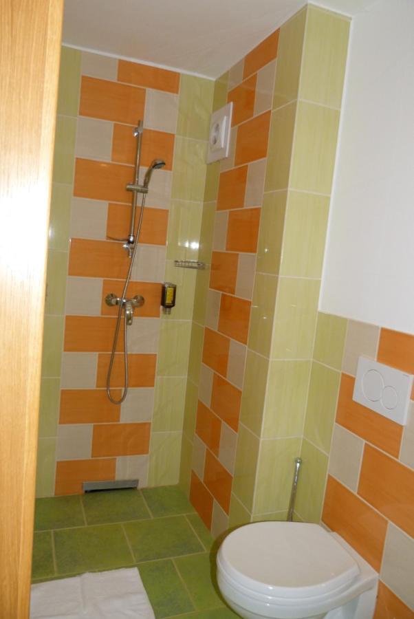 Guest House Eco Vila Mila Rogaška Slatina Zewnętrze zdjęcie