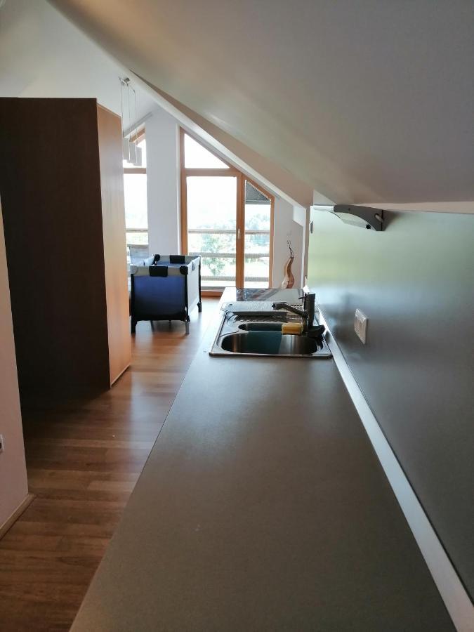 Guest House Eco Vila Mila Rogaška Slatina Zewnętrze zdjęcie