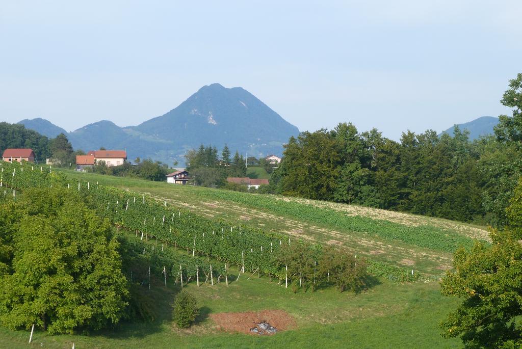 Guest House Eco Vila Mila Rogaška Slatina Zewnętrze zdjęcie