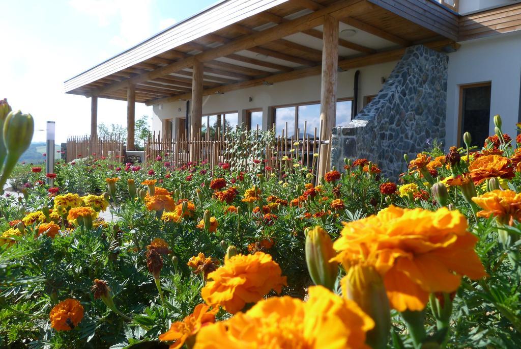 Guest House Eco Vila Mila Rogaška Slatina Zewnętrze zdjęcie