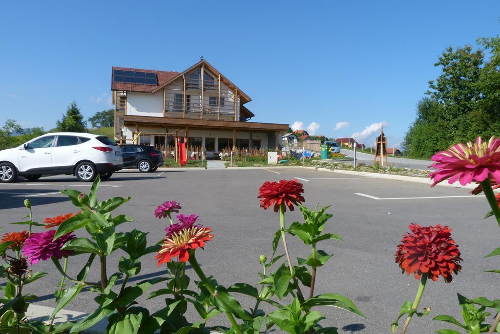Guest House Eco Vila Mila Rogaška Slatina Zewnętrze zdjęcie