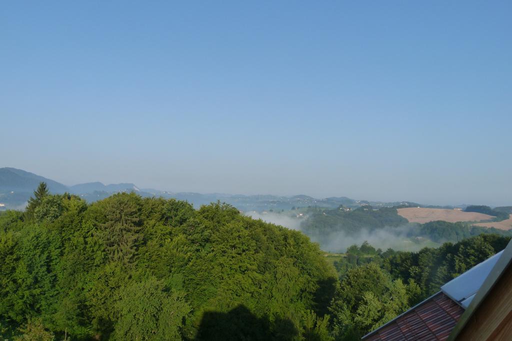 Guest House Eco Vila Mila Rogaška Slatina Zewnętrze zdjęcie