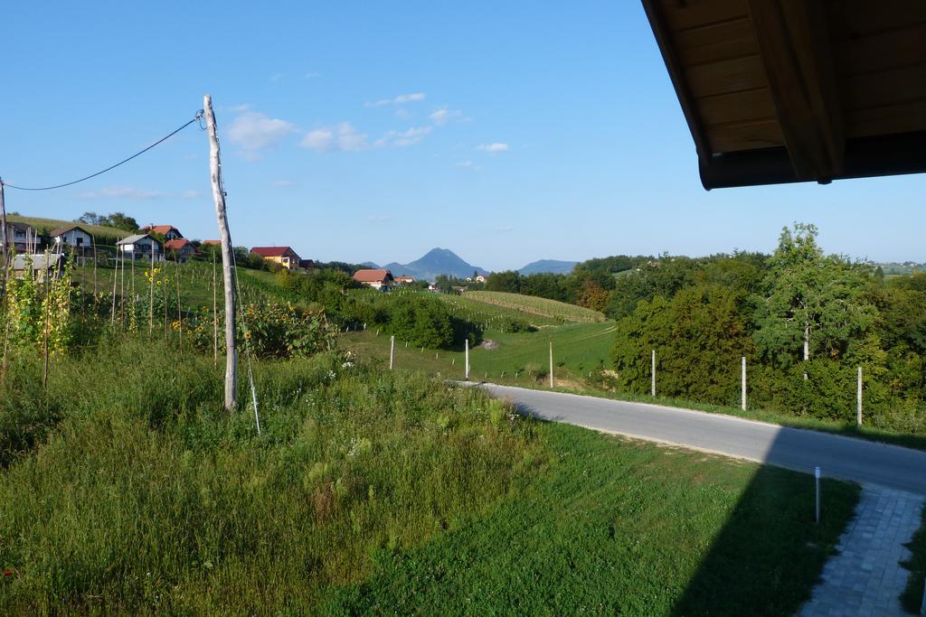 Guest House Eco Vila Mila Rogaška Slatina Zewnętrze zdjęcie